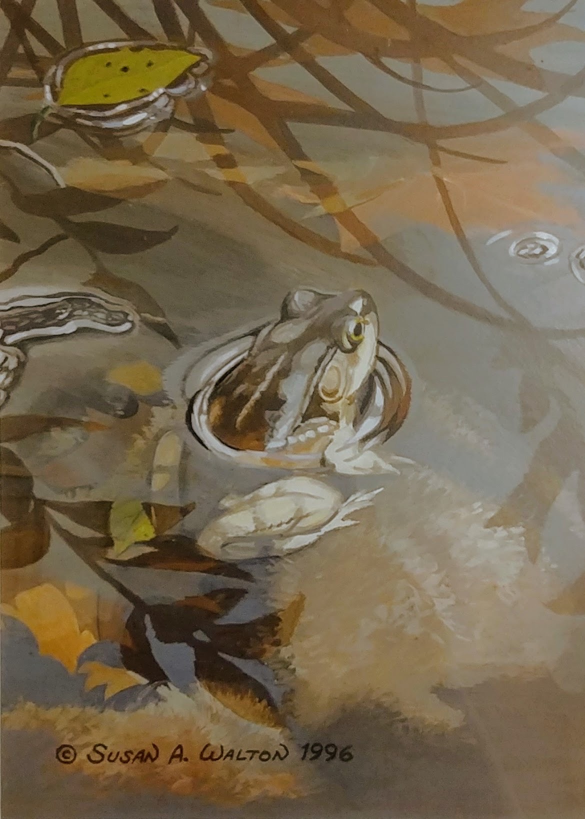 Patience ~ Wood Frog