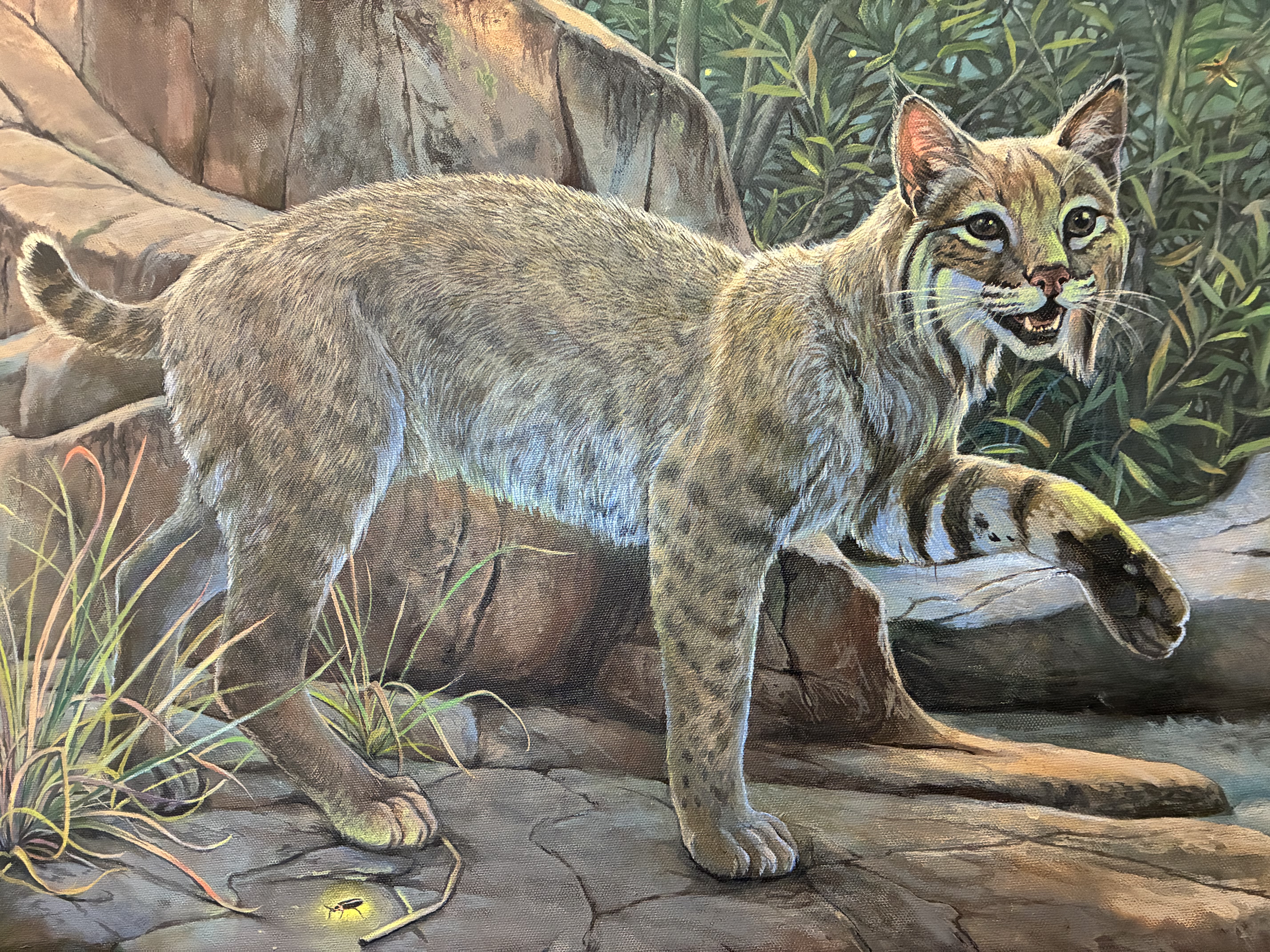 Night Lights - Bobcat and Fireflies
