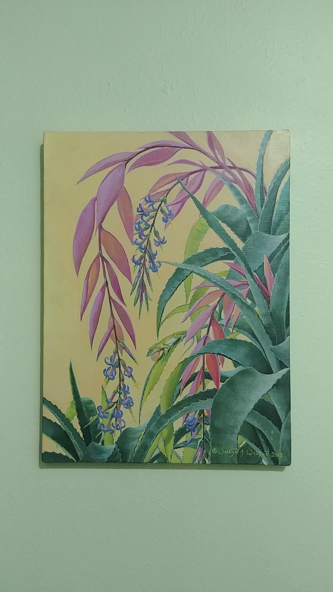The Flasher ~ Green Anole & Queen’s Tears Bromeliad