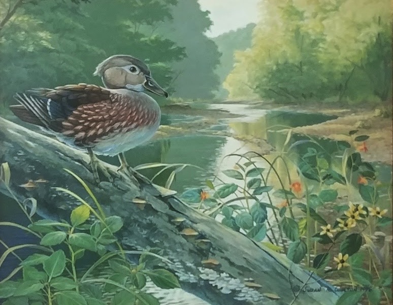 Little Lady of Cedar Creek ~ Wood Duck Hen & Jewelweed