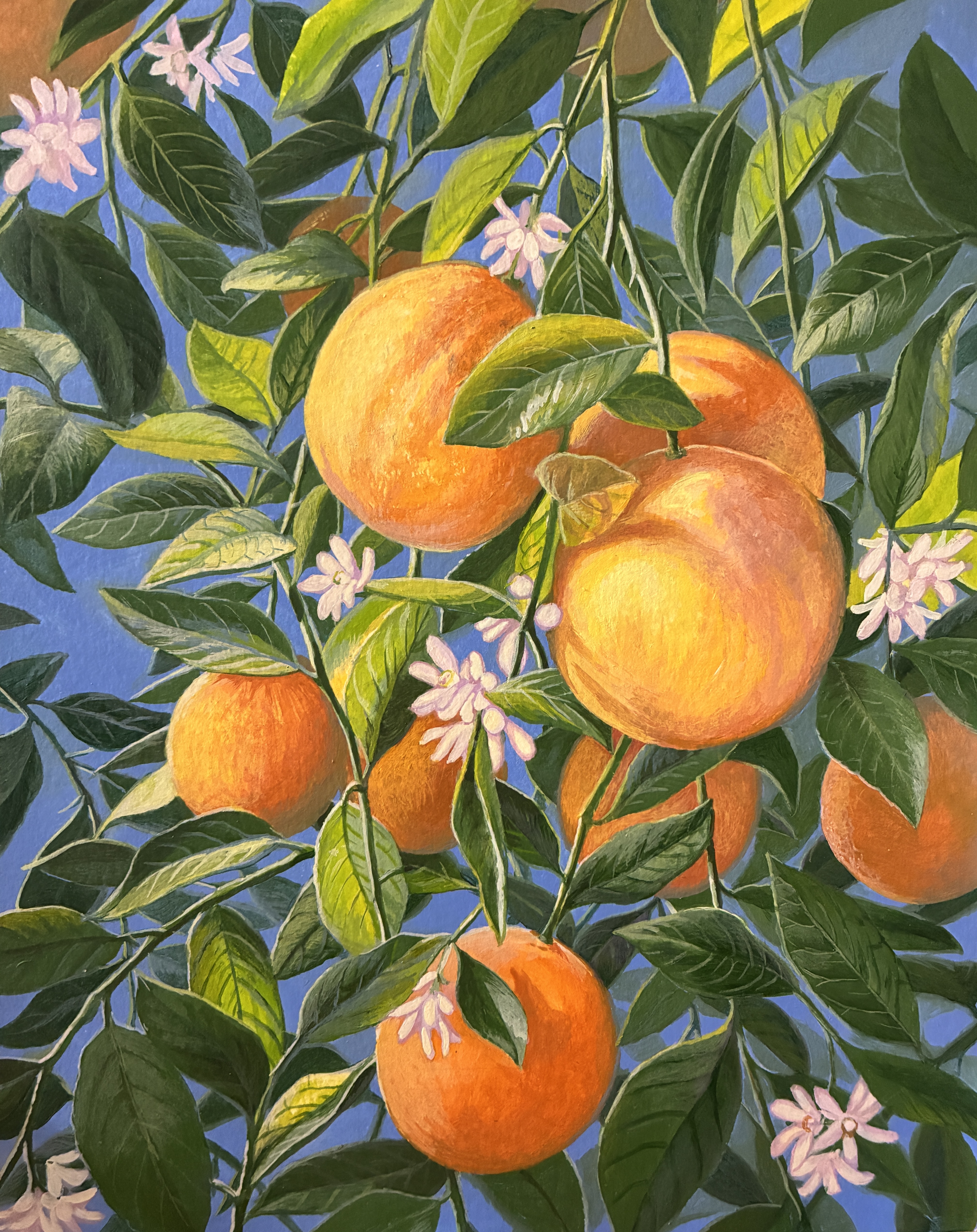 When Life Gives You Meyer Lemons